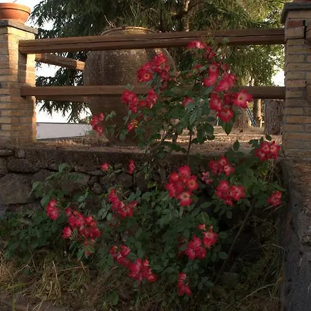 Holiday home Pachamama Nicolosi