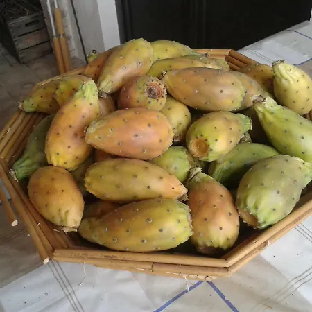 Pachamama Nicolosi